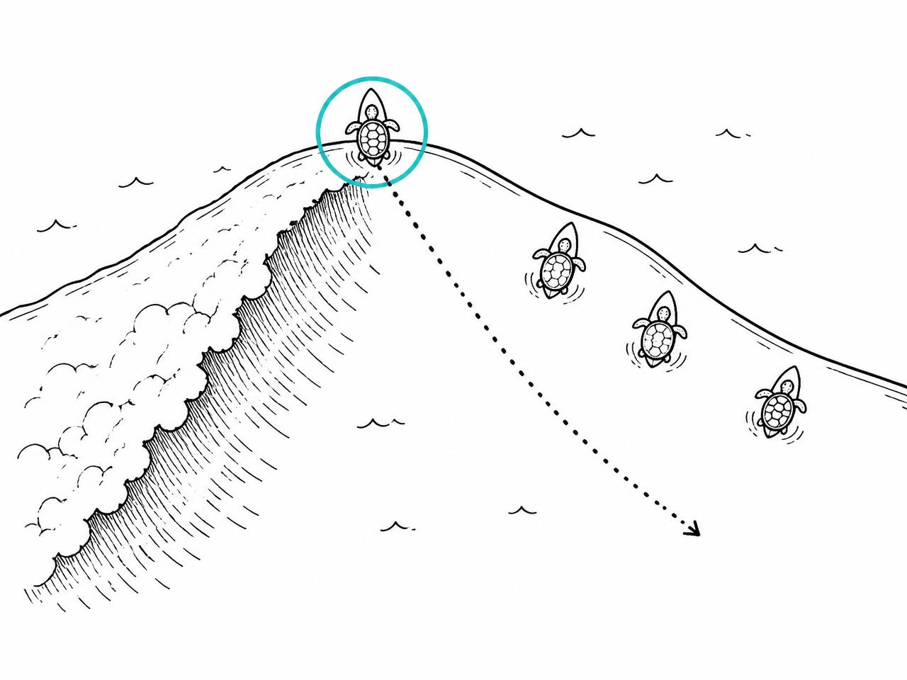 Priority: the surfer closest to the peak gets the wave.