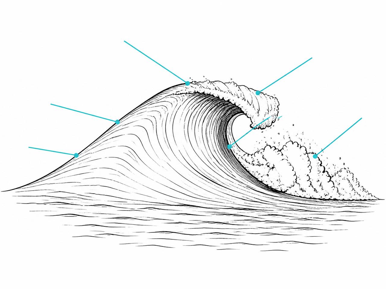 The anatomy of a wave: peak, lip, face, shoulder, pocket, whitewater.